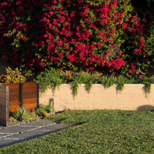 Exterior Fence
