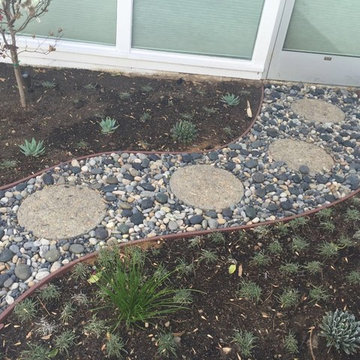 Drought Tolerant Landscape