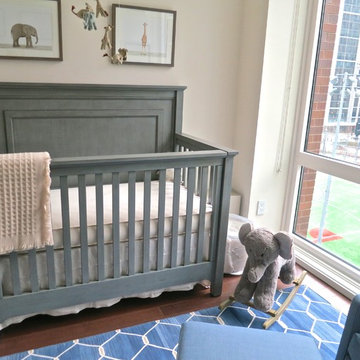 Boy Animal Themed Nursery
