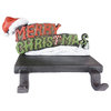 Cast Iron Christmas Stocking Holders, Santa on Sleigh, 2-Piece Set