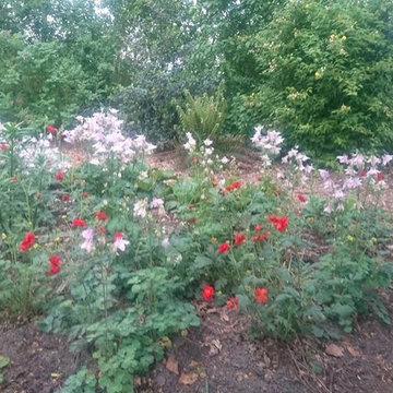 Impressionen