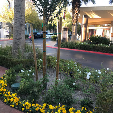 Orange County Customers