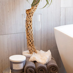 Wilson Contemporary Home Remodel - Plants