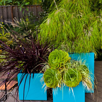 Geometry Overgrown: a Modern Pool & Landscape