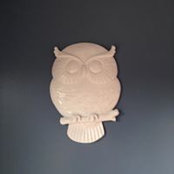 Megan Sullivan-Maess's photo