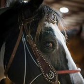 Michelle Stone's photo