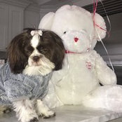 Christina Menagos's photo