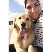 Hend Amer's photo