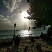 Jenn Lin's photo