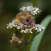 Monica Garay's photo