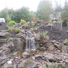 Out door landscape