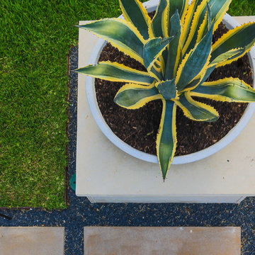 AquaTerra Modern Landscape & Pool