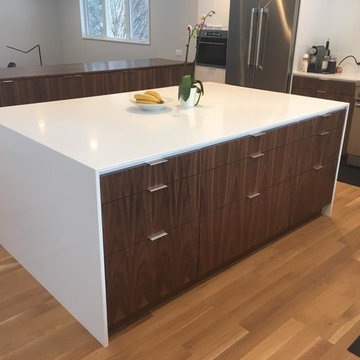 Modern Kitchen