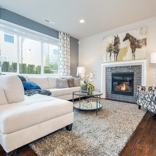 Blue Gray Living Room Ideas Photos Houzz