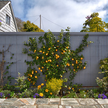 French Courtyard and Frontyard