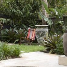Back garden