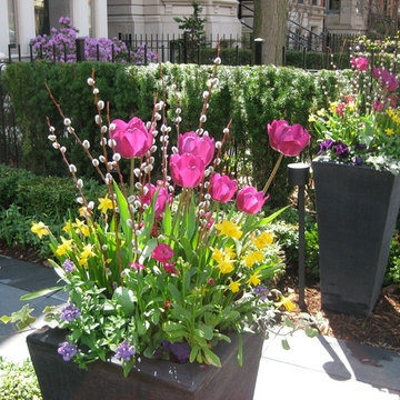 seasonal containers