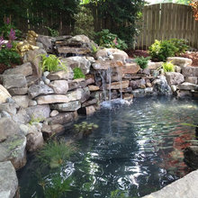 Pond Ideas