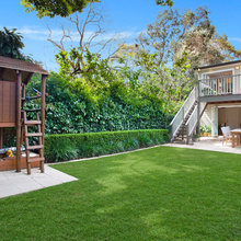 back yard