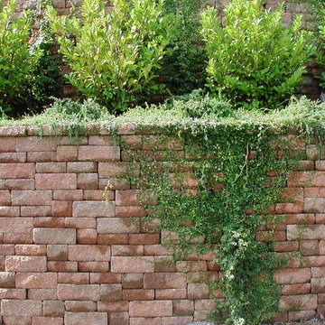 Tiburon Trellis