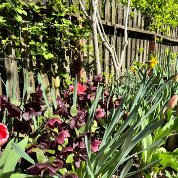 Park Slope curvy garden