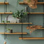 Link Shelving System, Walnut and Black