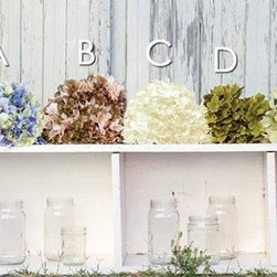 Springing into Spring - Products