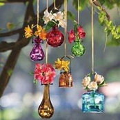 Zule Sanchez's photo