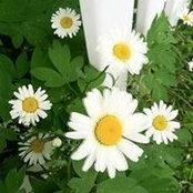 Maria Weaver's photo