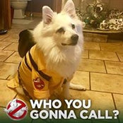 Laura Capriotti's photo