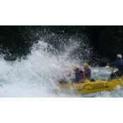 Justin Arnold's photo