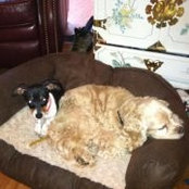 Judy Hooks's photo