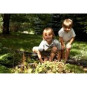 Nicole Diliberti's photo