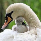 Pam Dee's photo
