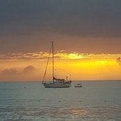 Sue O'Connell's photo