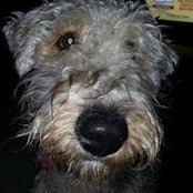 Jennifer Patrick's photo