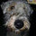 jennifer_patrick33