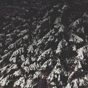 Jamie Rogers's photo