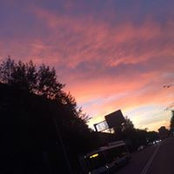 Екатерина Алешина's photo