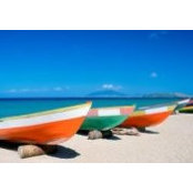 Carla Powell's photo