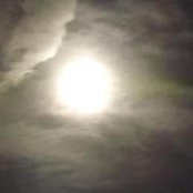 Christina Calhoun Parrish's photo