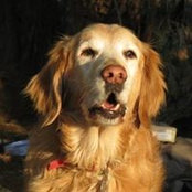 Karen Chesser's photo