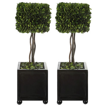 Uttermost Preserved Boxwood Square Topiaries, Set of 2, 60187