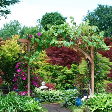 Mr. Maple display garden