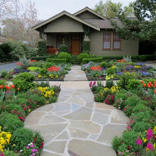 Front yard