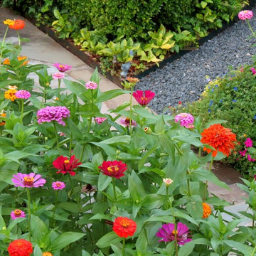 Zero Lawn Xeriscape