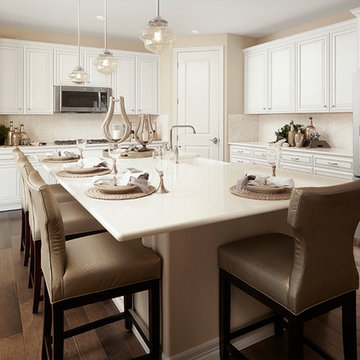 Yorktown model home in Colorado