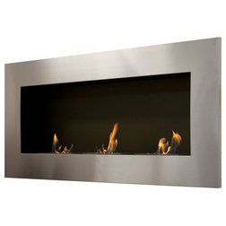 Contemporary Indoor Fireplaces by The Elite Home