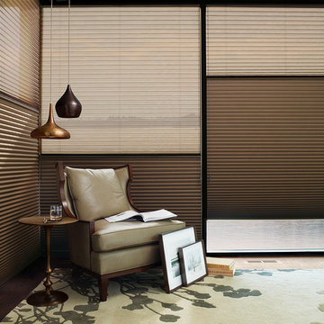 Hunter Douglas Duette® Honeycomb Shade