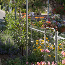 Courtyard Garden